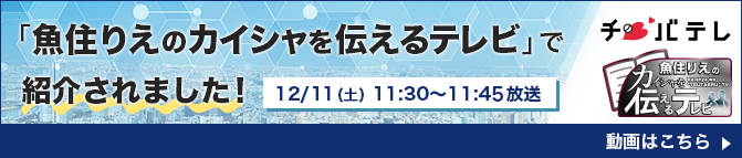 魚住りえのカイシャを伝えるテレビ(千葉テレビ)